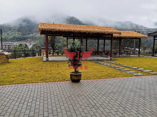 石家莊茅草亭項(xiàng)目